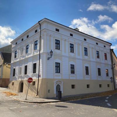 Oprava fas&aacute;dy Langova domu ve Fr&yacute;dku - M&iacute;stku