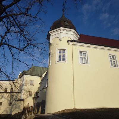 Oprava fas&aacute;dy z&aacute;mku, Fr&yacute;dek - M&iacute;stek